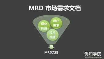 技術(shù)型產(chǎn)品人必備 產(chǎn)品開發(fā)流程與技術(shù)服務(wù)實戰(zhàn)指南